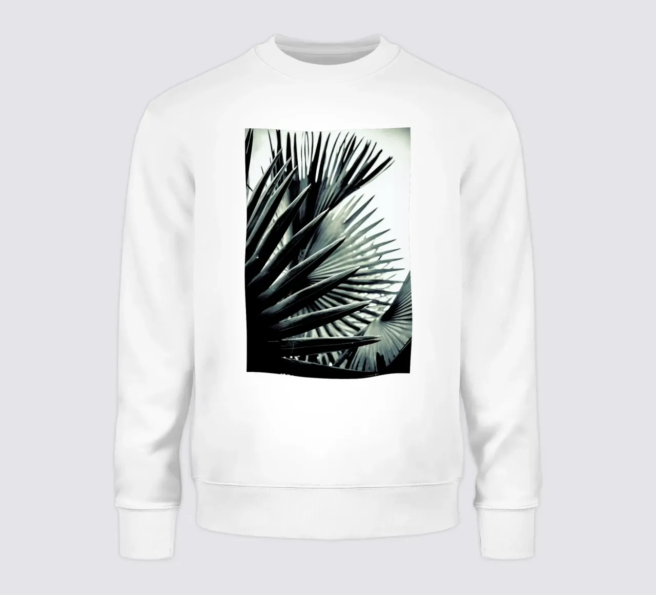 Palm Shade 2 sweat de Chris Abatzis