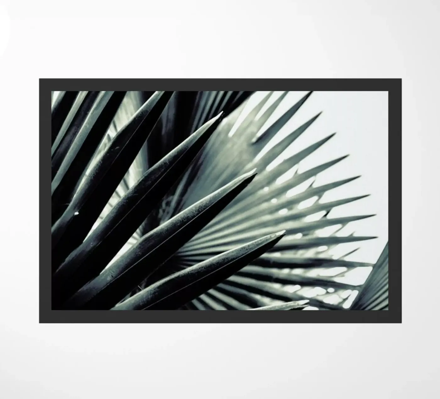 Palm Shade 2 doormat by Chris Abatzis