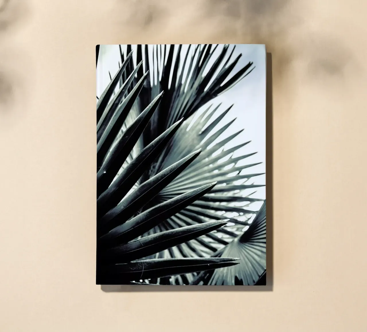Palm Shade 2 notebook by Chris Abatzis