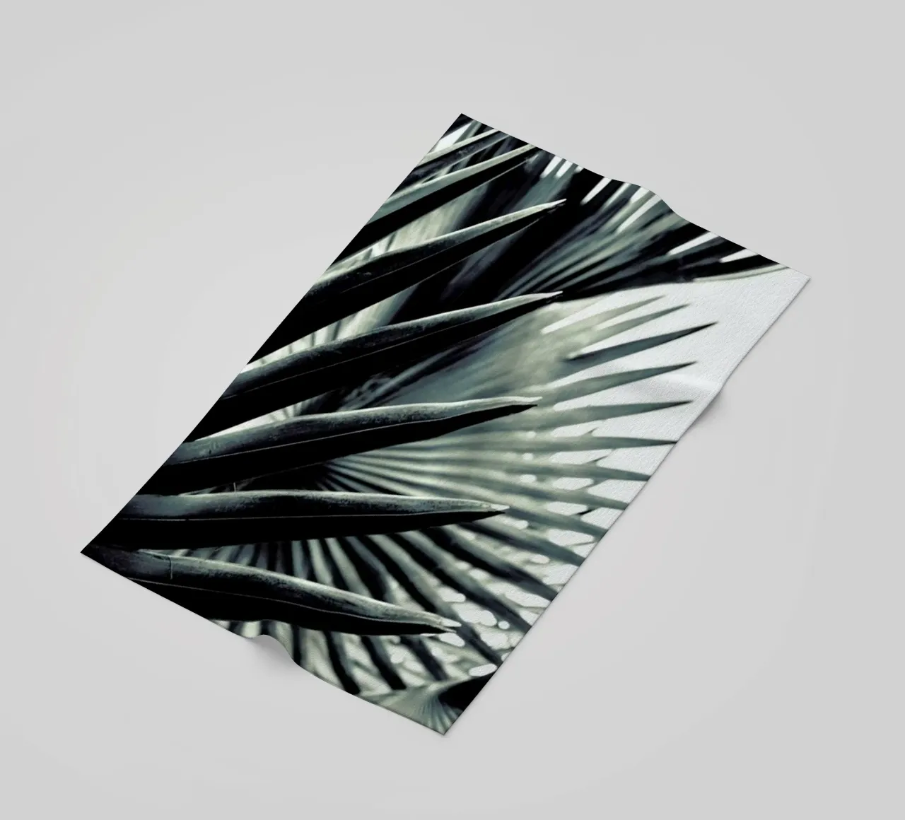 Palm Shade 2 telo mare da Chris Abatzis