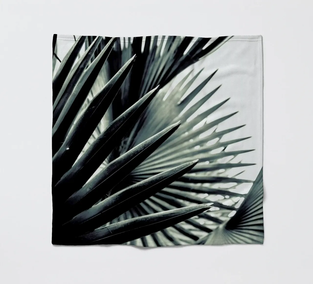 Palm Shade 2 manta de franela de Chris Abatzis