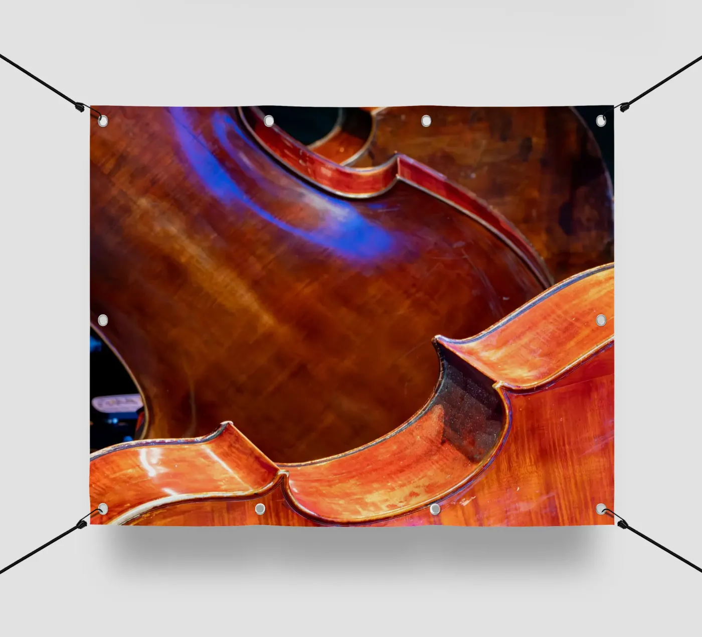 Cello telo in pvc da anderm