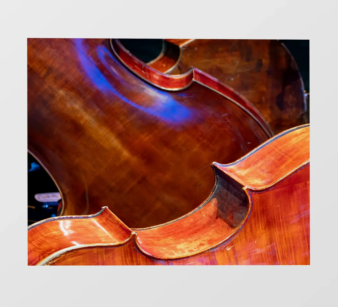 Cello telo in pvc da anderm