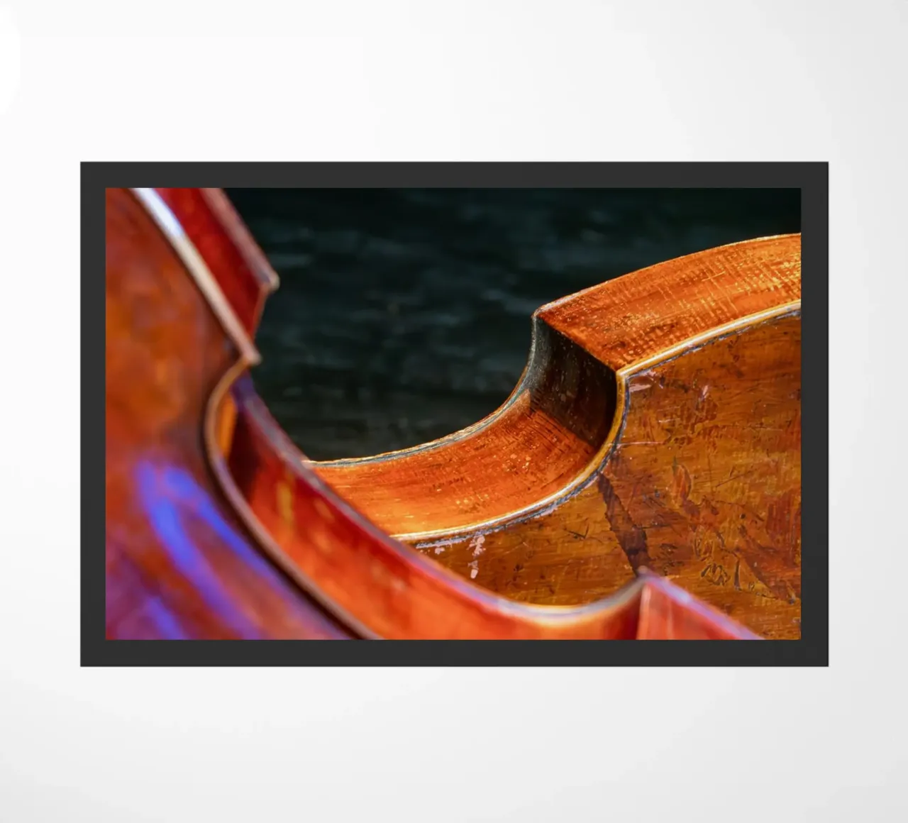 Cello zerbino da anderm