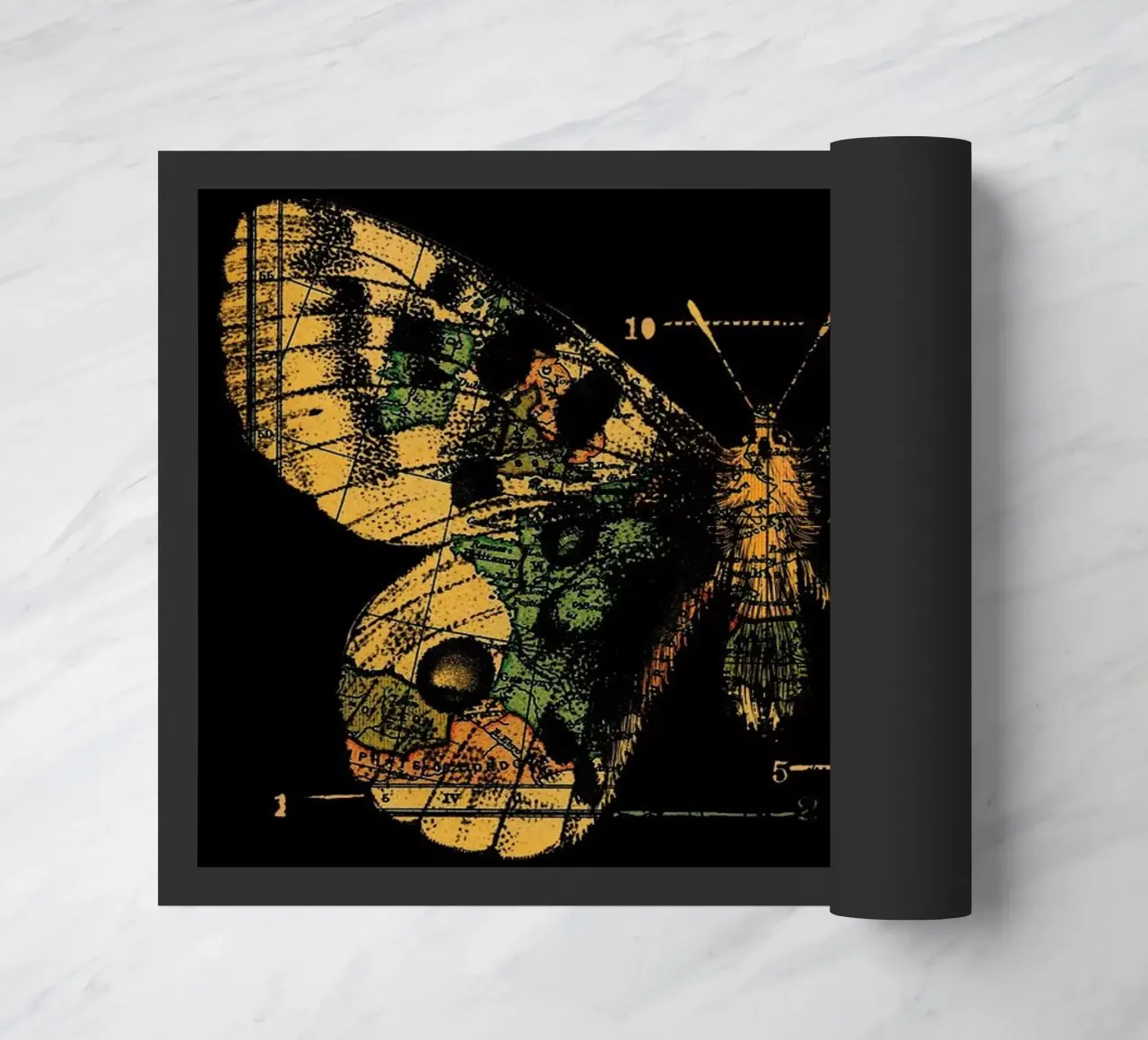 Time Flies zerbino da Tobe Fonseca