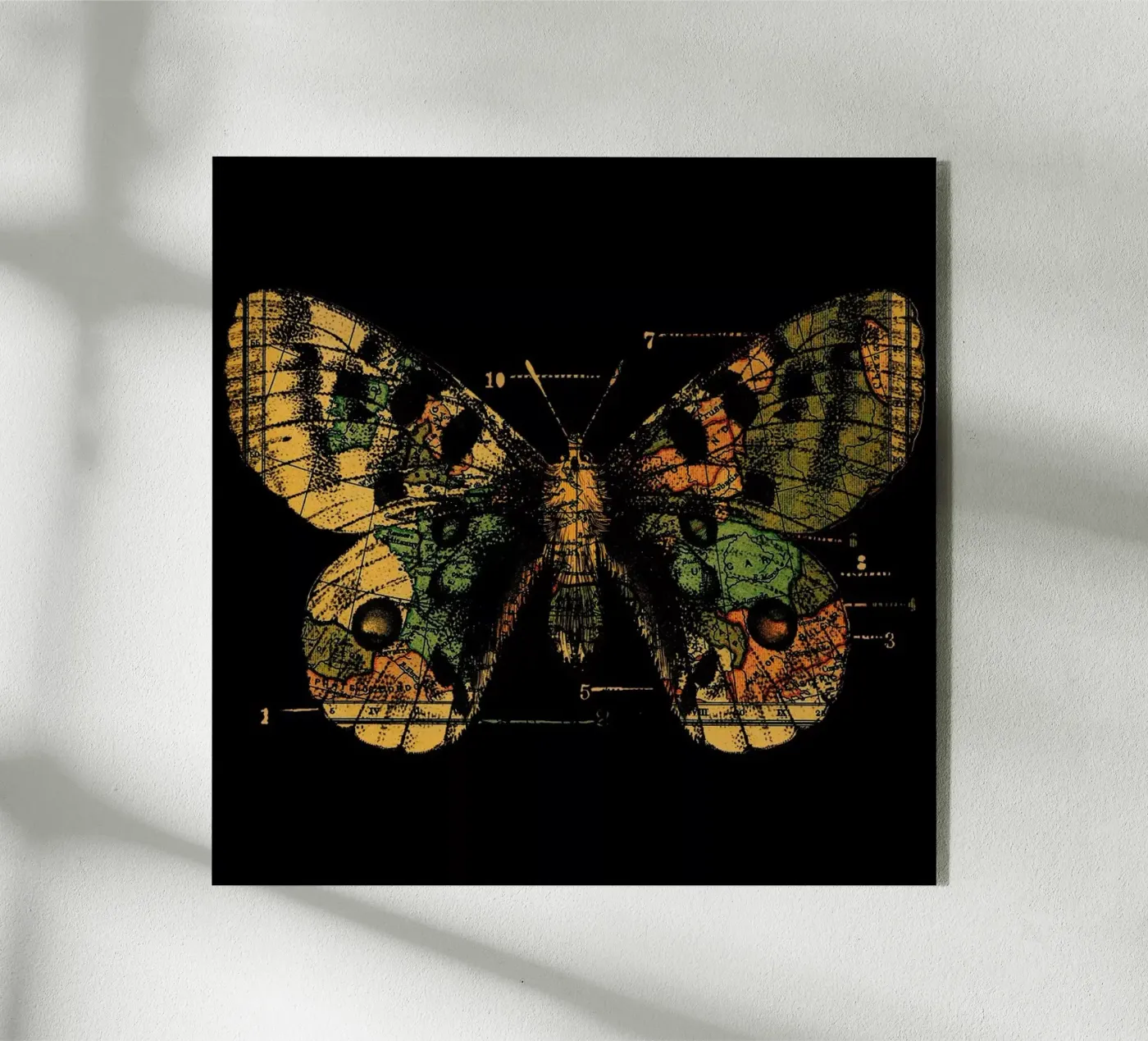 Time Flies plexiglass da Tobe Fonseca