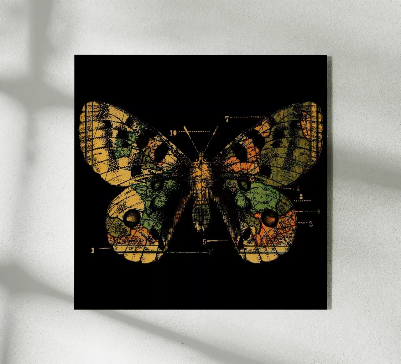 Time Flies plexiglass da Tobe Fonseca