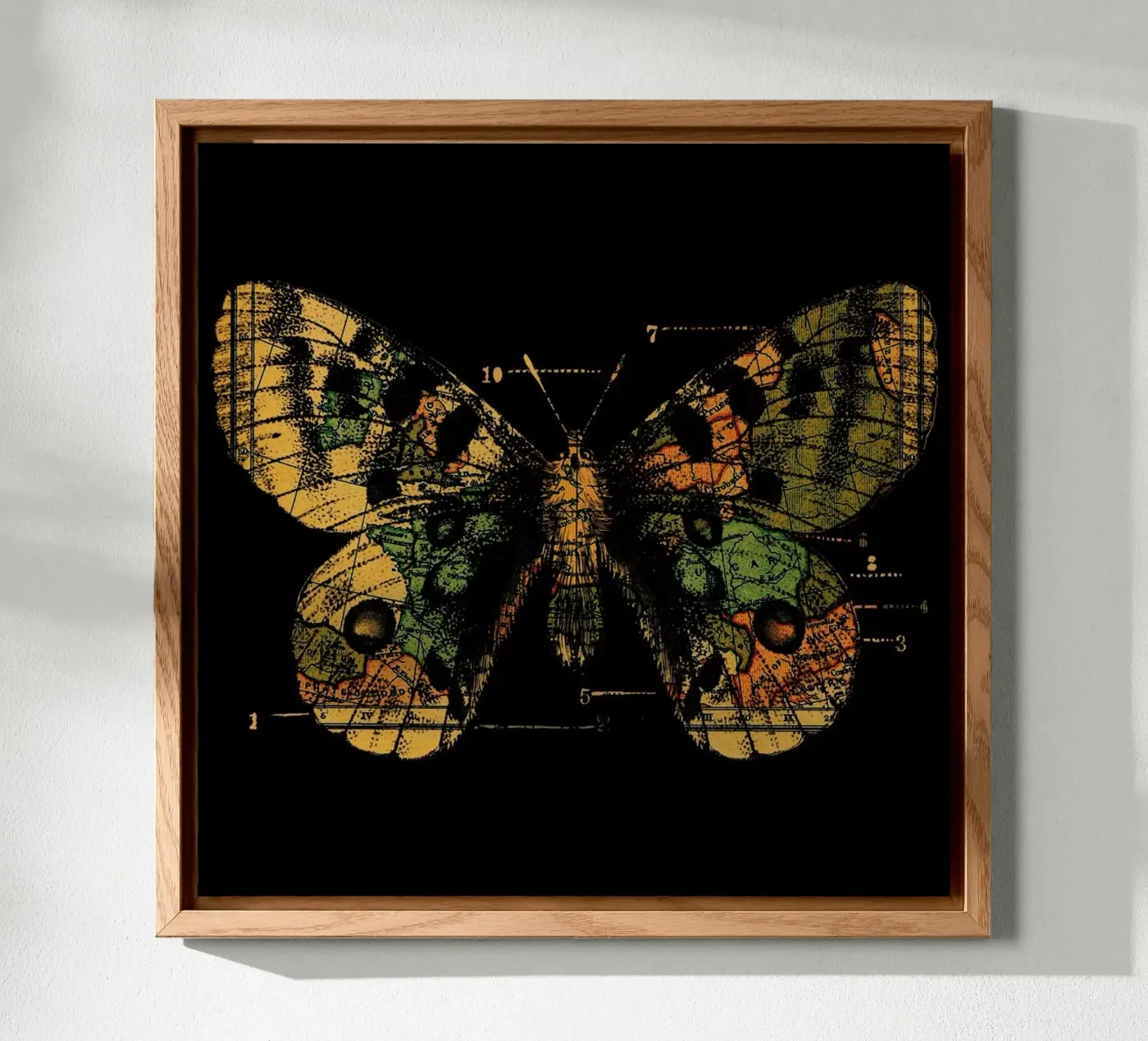 Time Flies forex plate by Tobe Fonseca