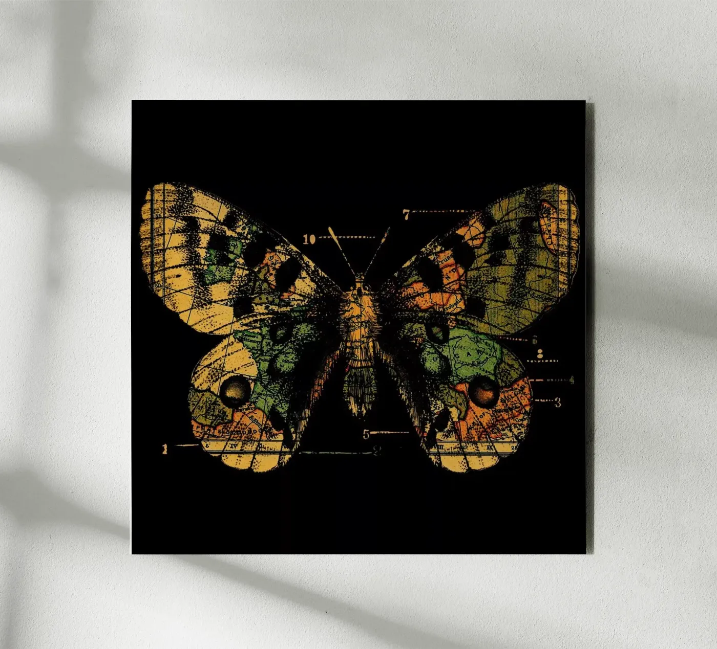 Time Flies forex plate by Tobe Fonseca