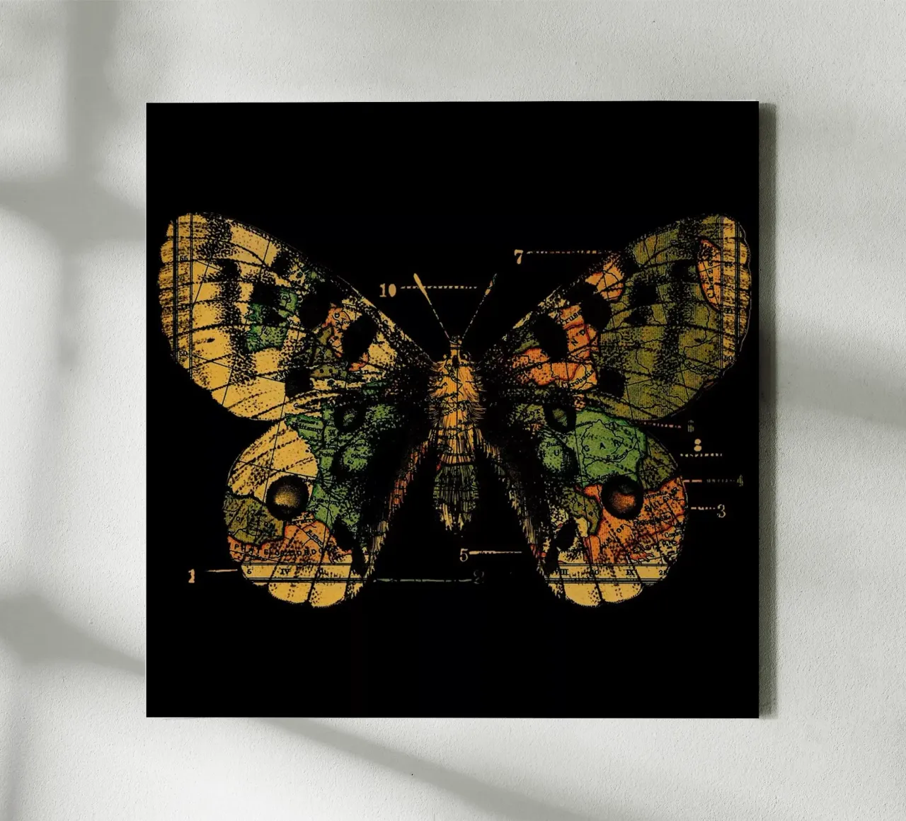 Time Flies tela da Tobe Fonseca