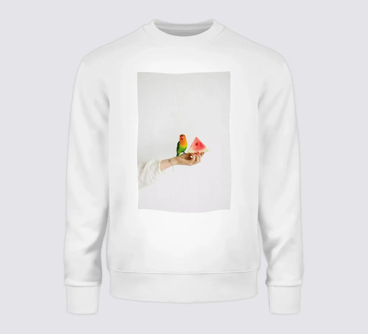 Watermelon And Parrot felpa da Jovana Rikalo