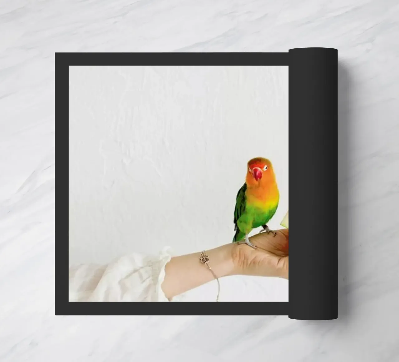 Watermelon And Parrot zerbino da Jovana Rikalo