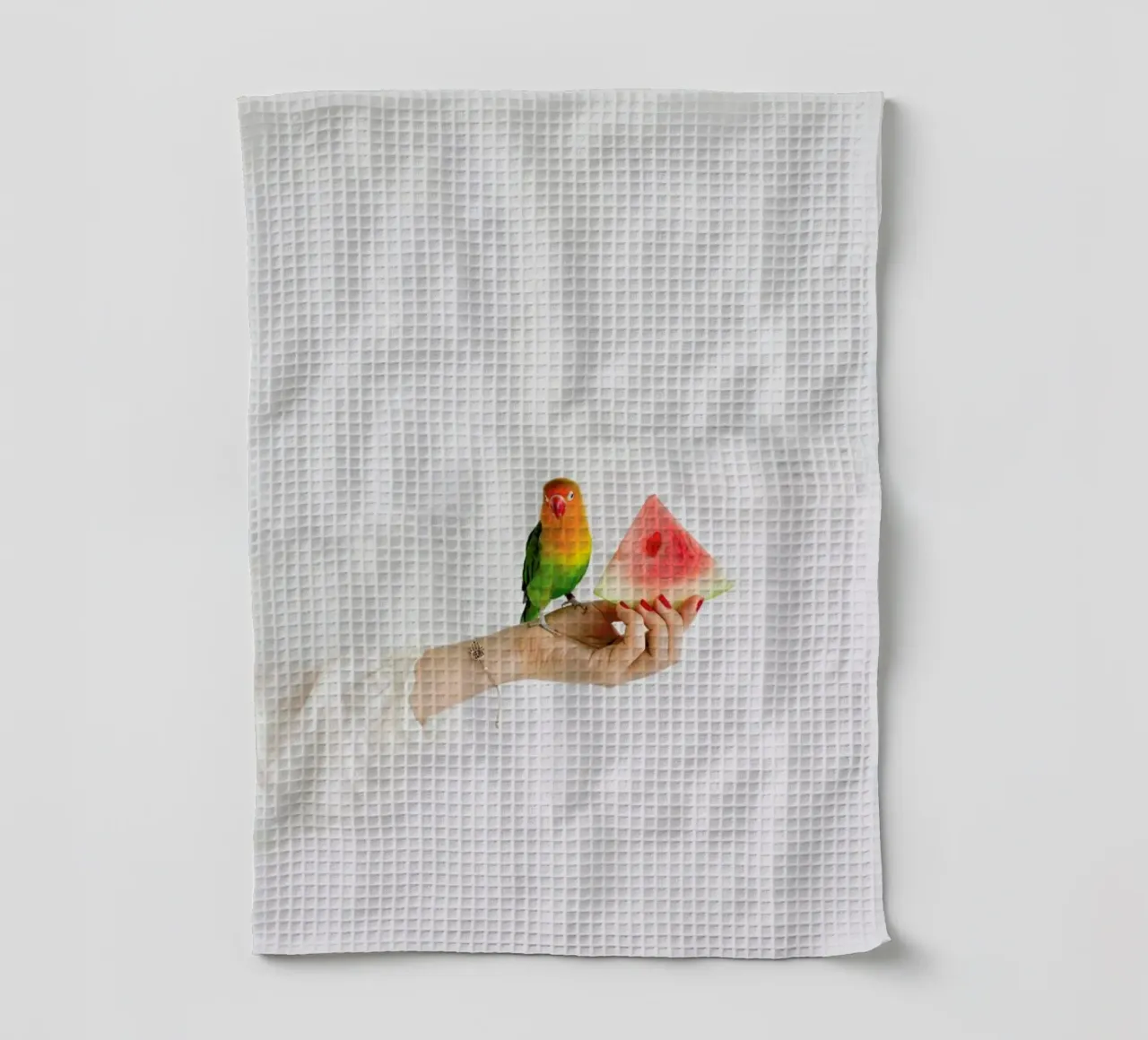 Watermelon And Parrot canovaccio da cucina da Jovana Rikalo