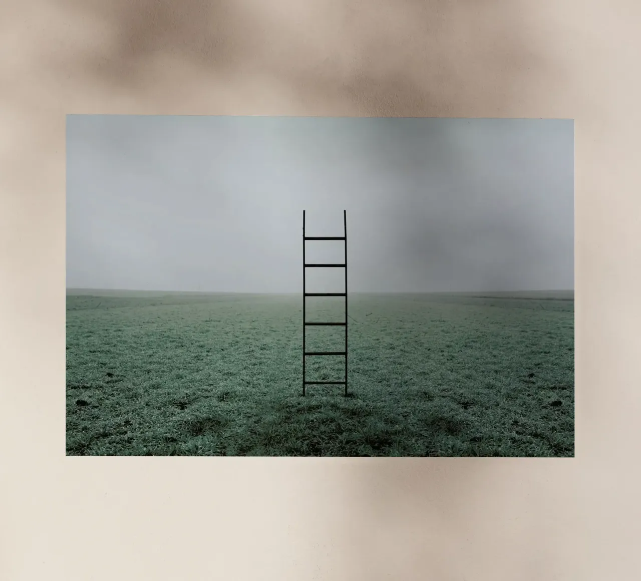 Ladders pellicola backlit da Jovana Rikalo