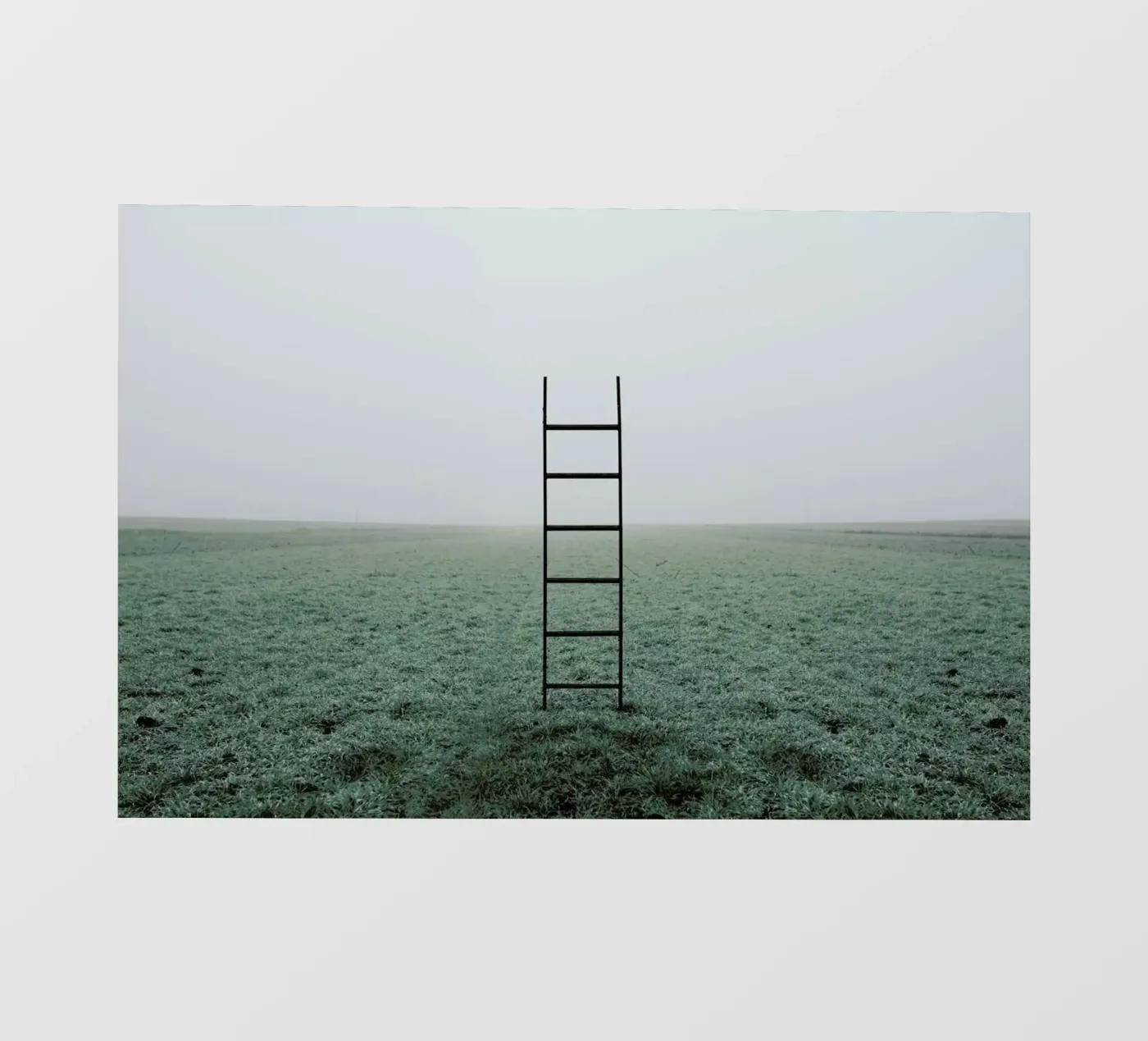 Ladders backlit folie van Jovana Rikalo