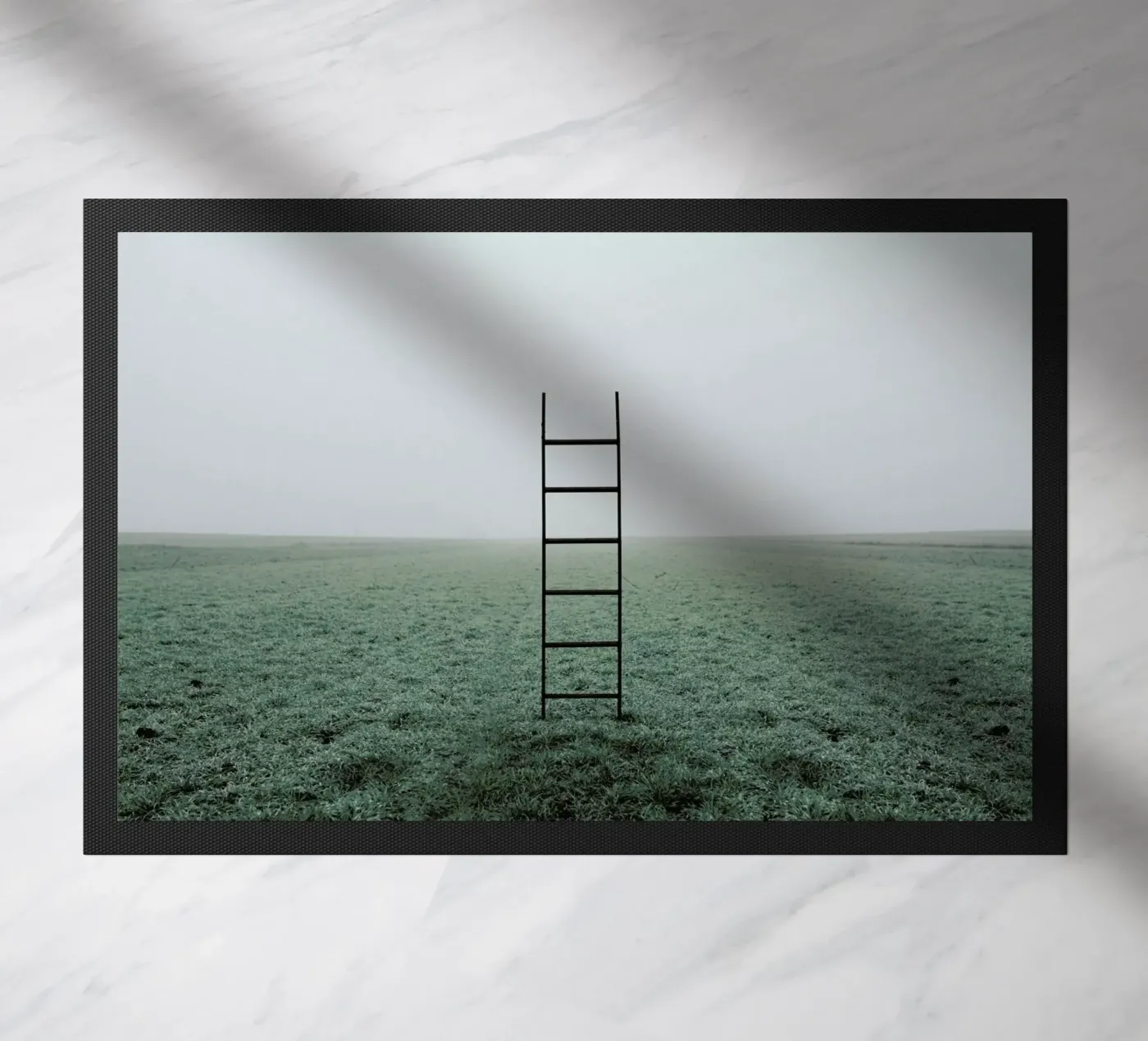 Ladders zerbino da Jovana Rikalo
