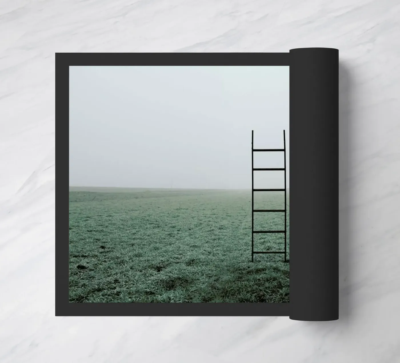 Ladders zerbino da Jovana Rikalo
