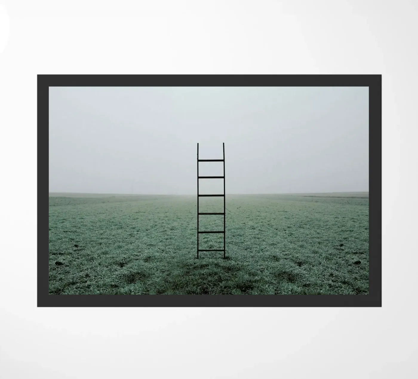 Ladders zerbino da Jovana Rikalo