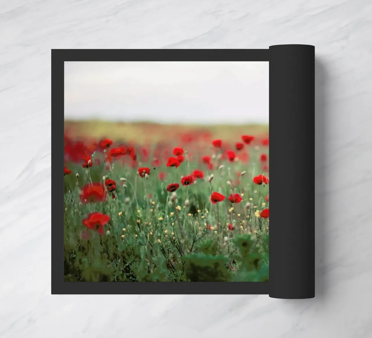 Poppy Field zerbino da Jovana Rikalo