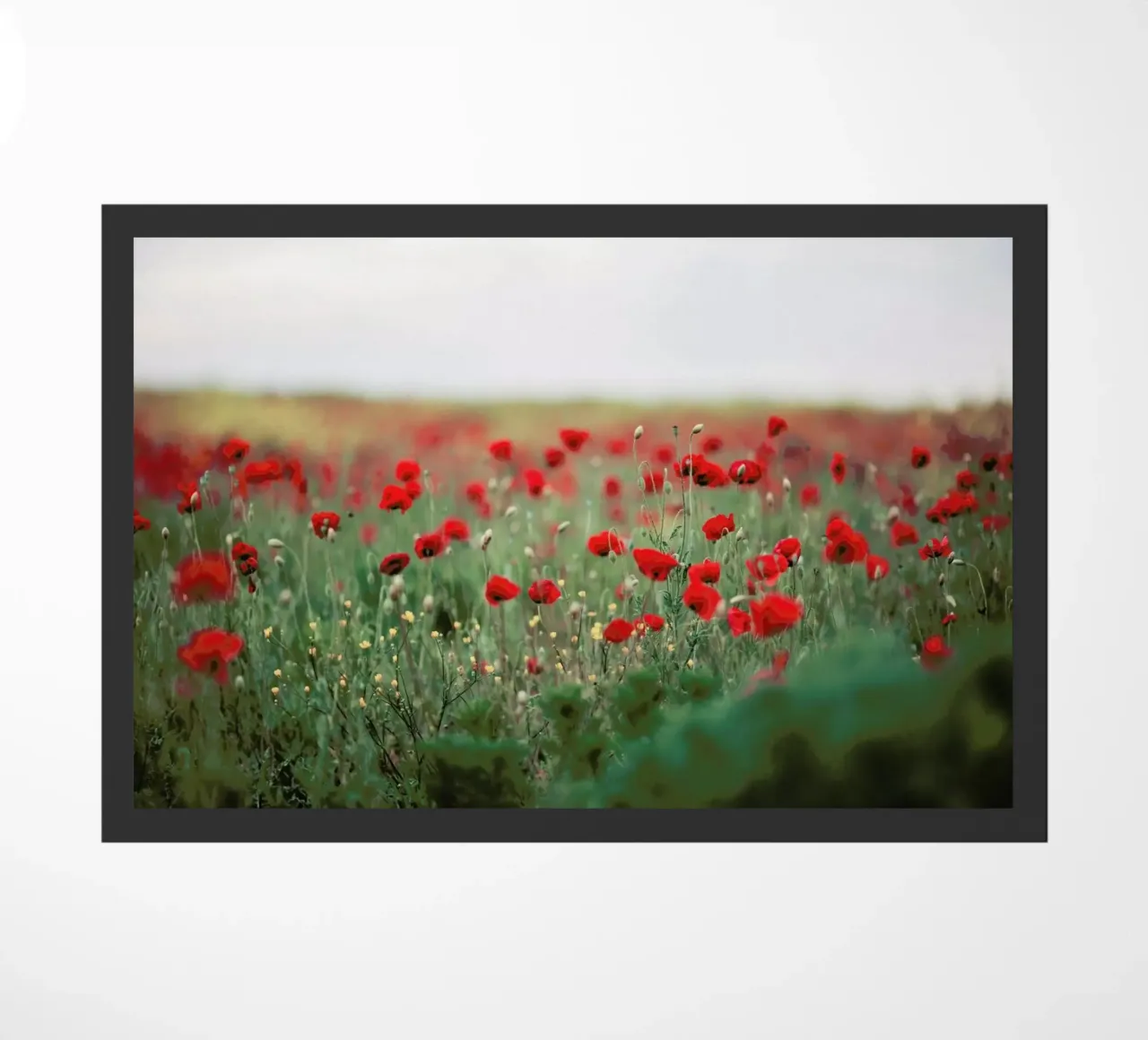 Poppy Field zerbino da Jovana Rikalo