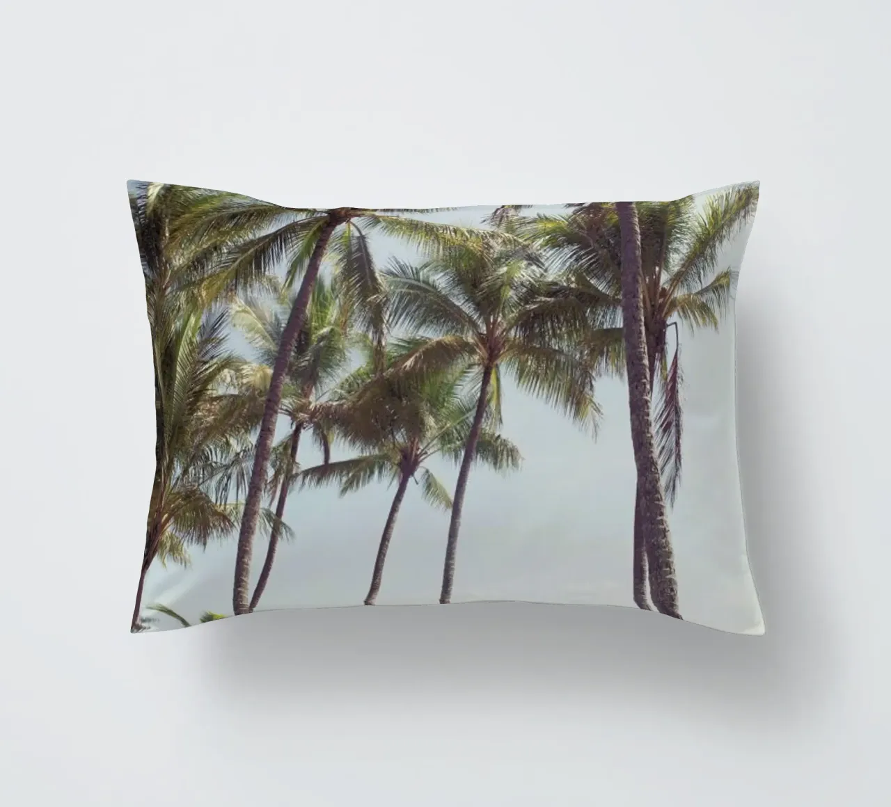 Palm Cove cuscino da Catherine McDonald