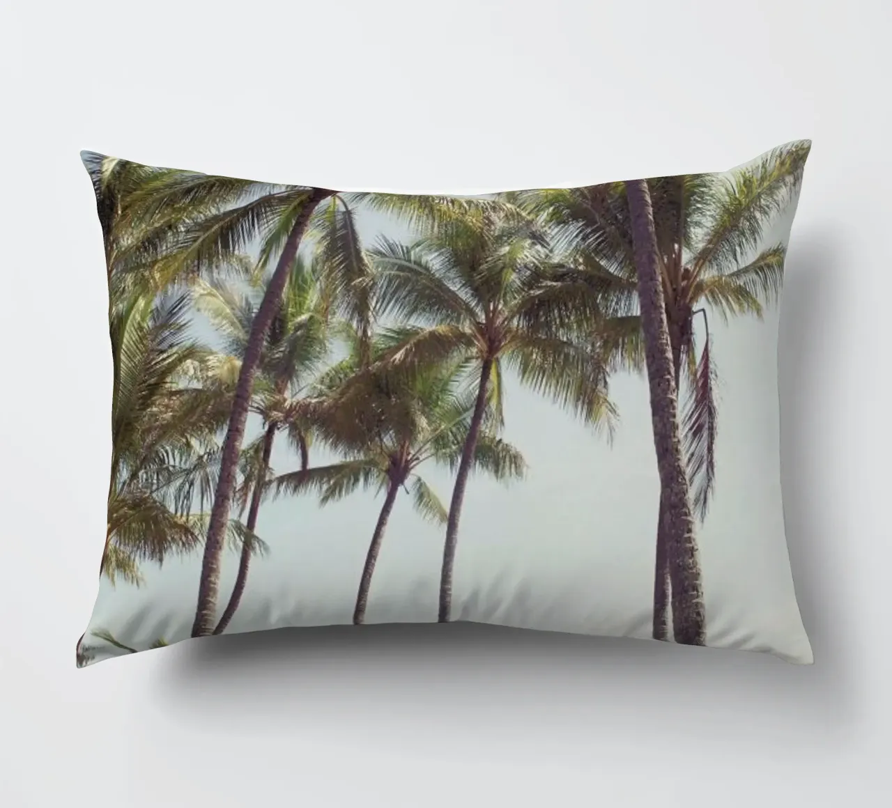 Palm Cove cuscino da Catherine McDonald