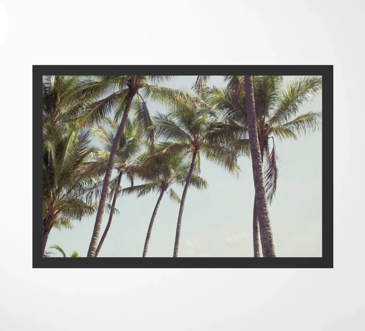 Palm Cove doormat by Catherine McDonald