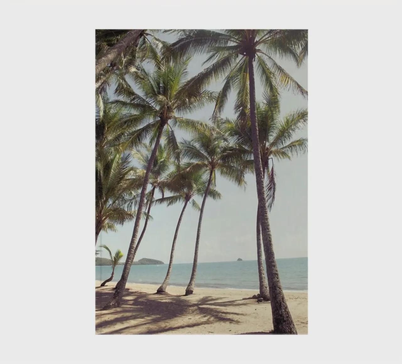 Palm Cove notebook by Catherine McDonald