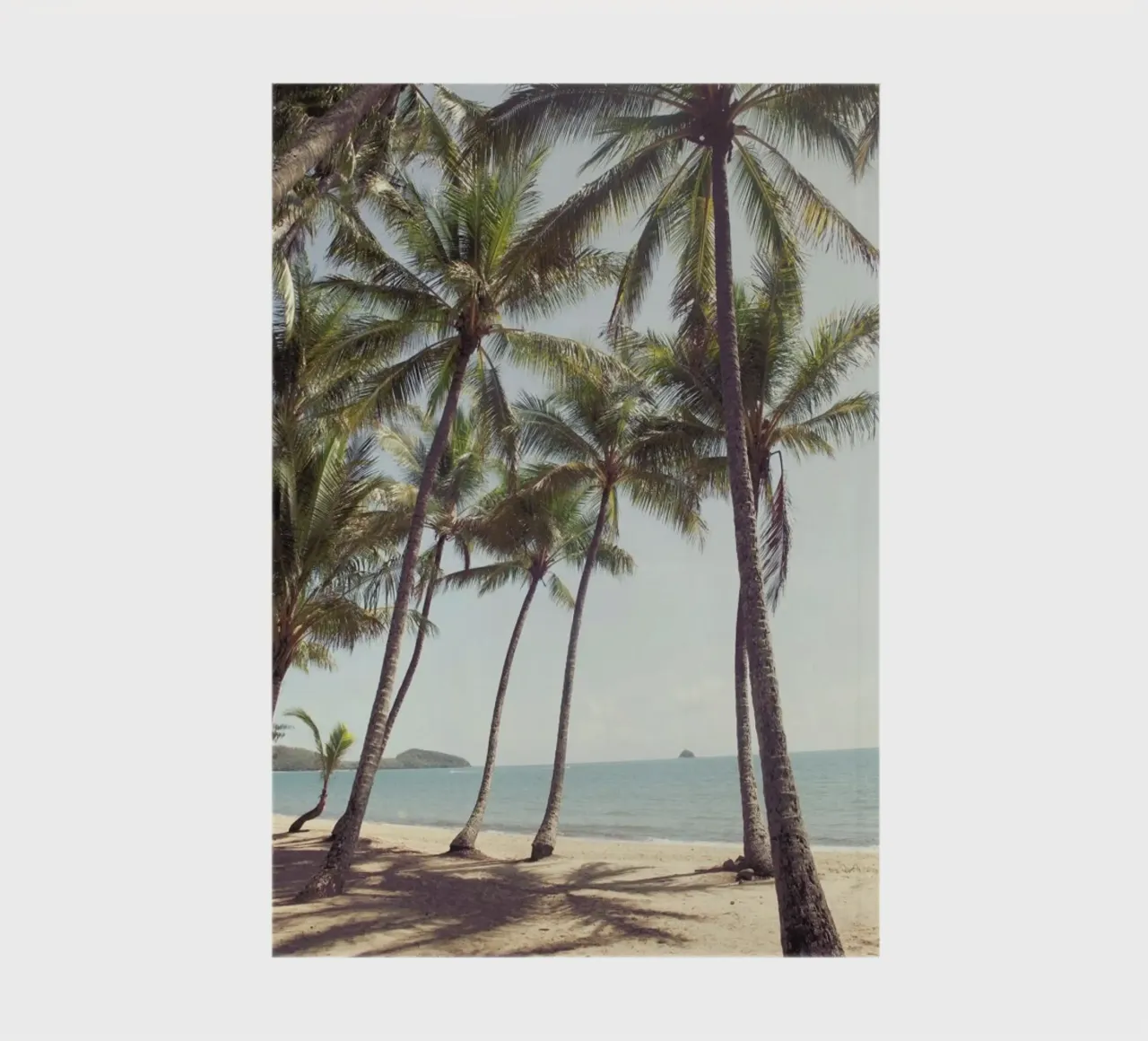 Palm Cove notebook by Catherine McDonald