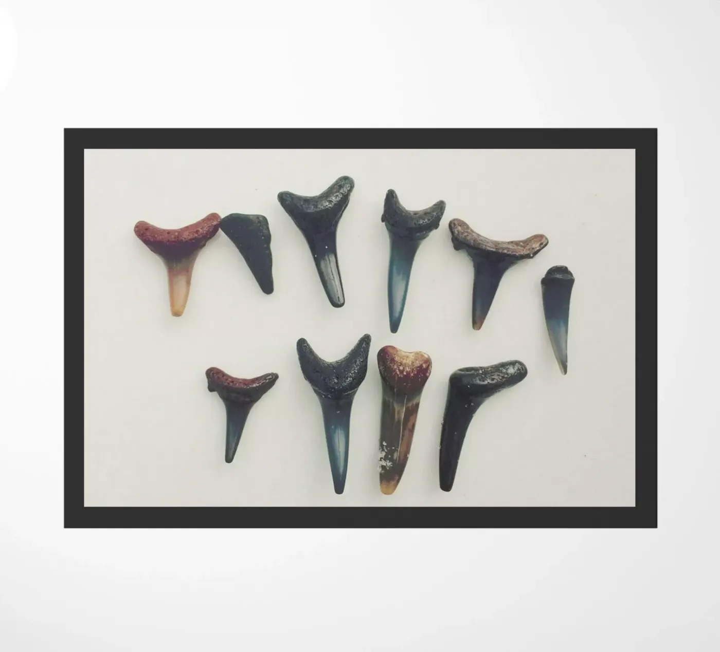 Sharkesteeth deurmat van Catherine McDonald