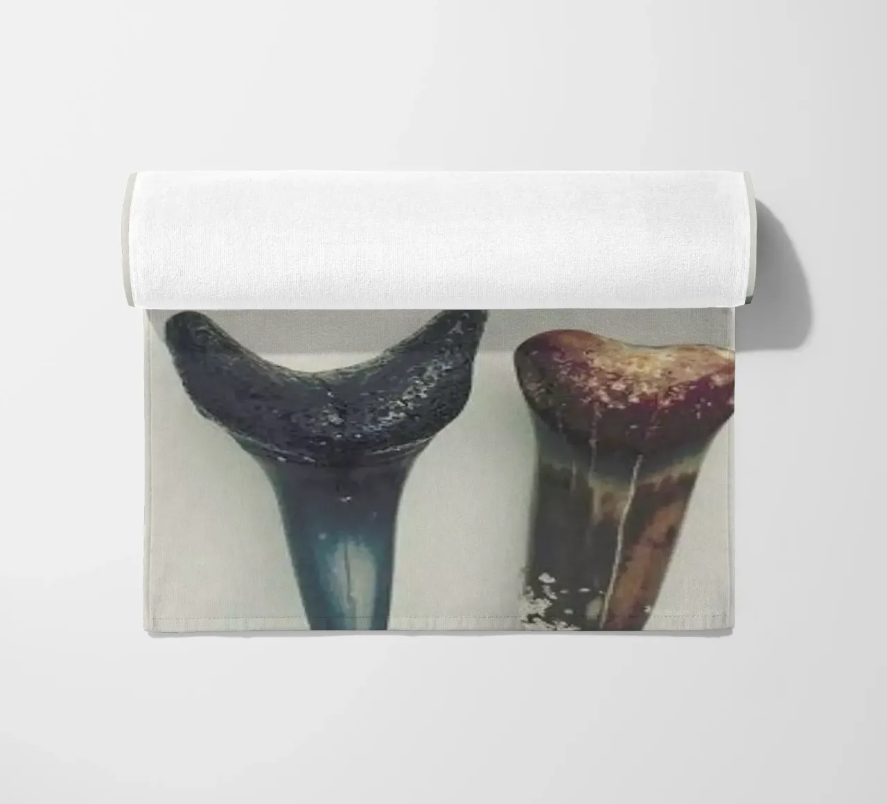 Sharkesteeth telo mare da Catherine McDonald