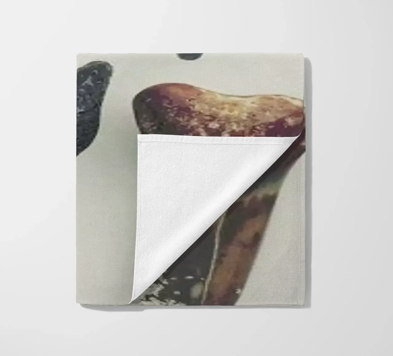 Sharkesteeth telo mare da Catherine McDonald