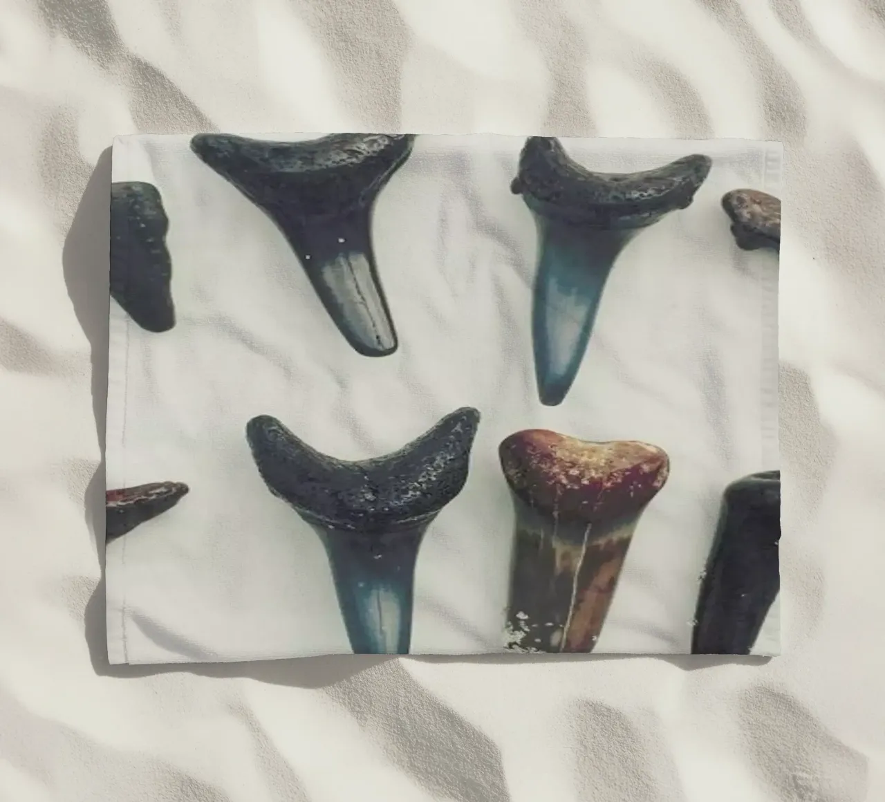 Sharkesteeth telo mare da Catherine McDonald