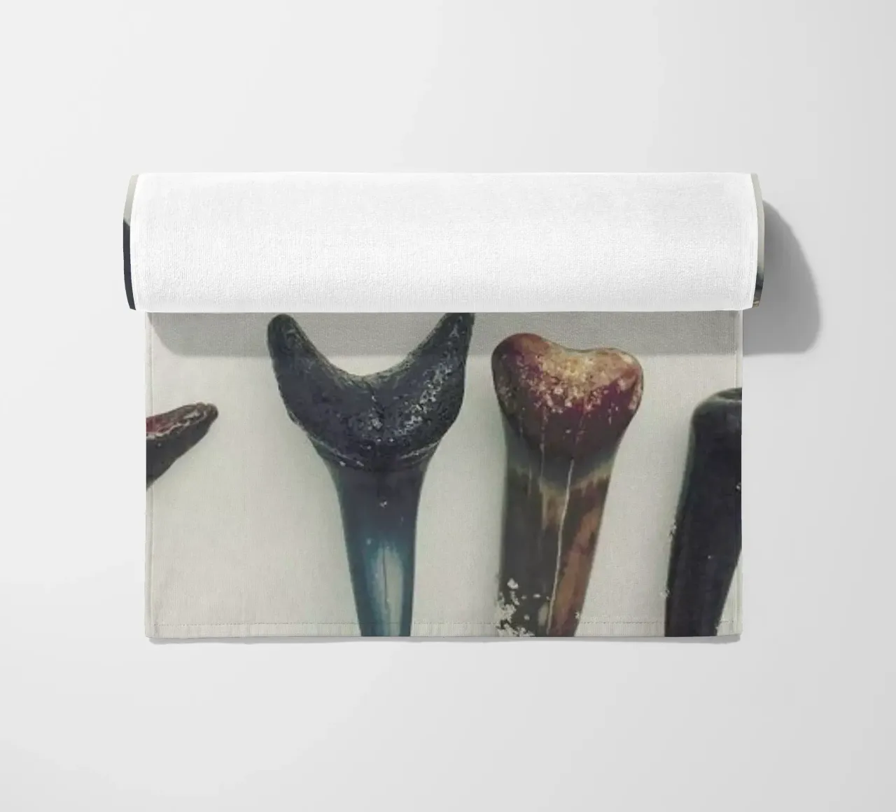 Sharkesteeth telo mare da Catherine McDonald