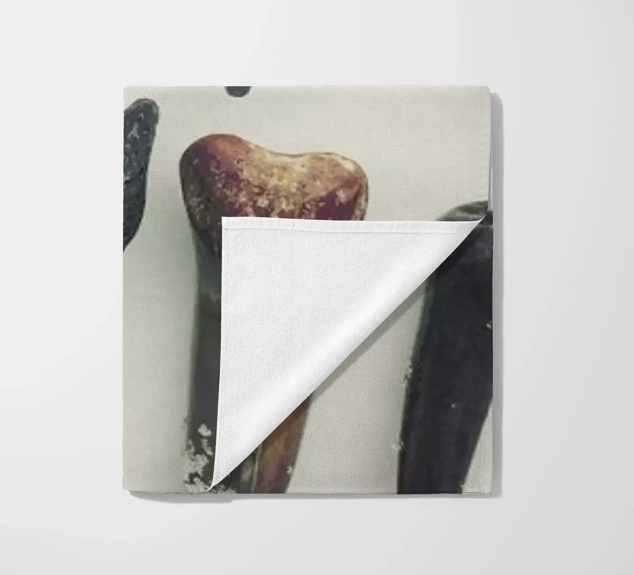 Sharkesteeth telo mare da Catherine McDonald