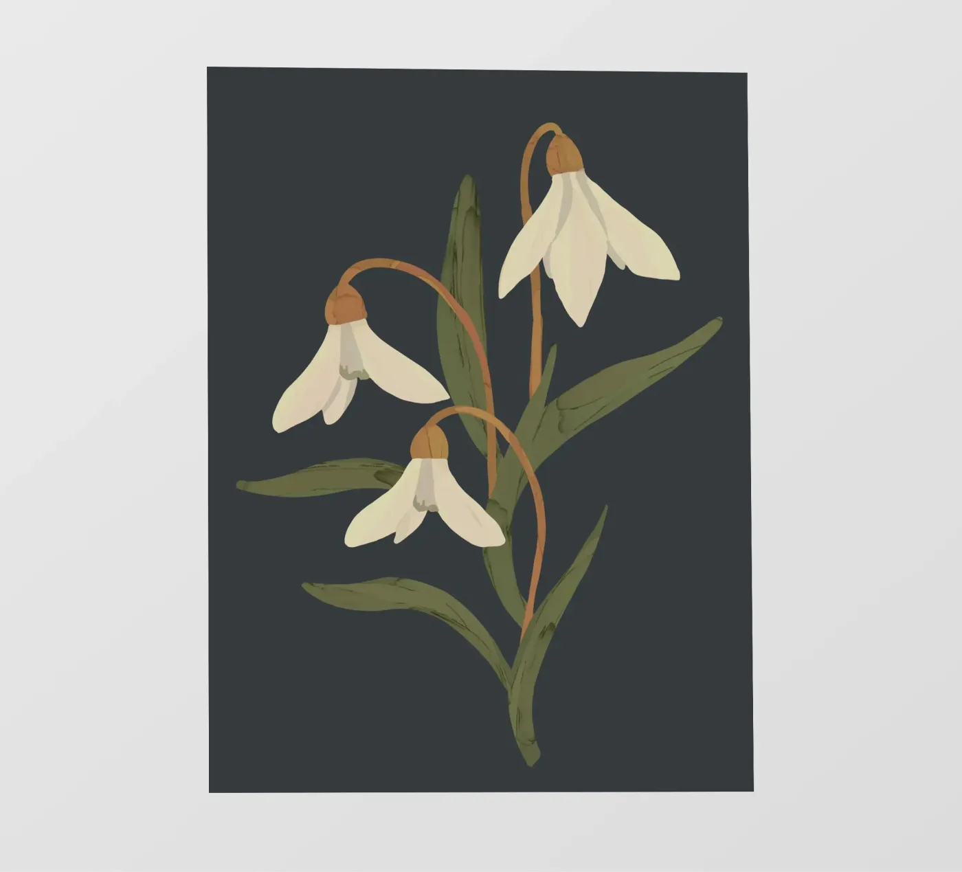 Bucaneve pellicola backlit da ThingDesign