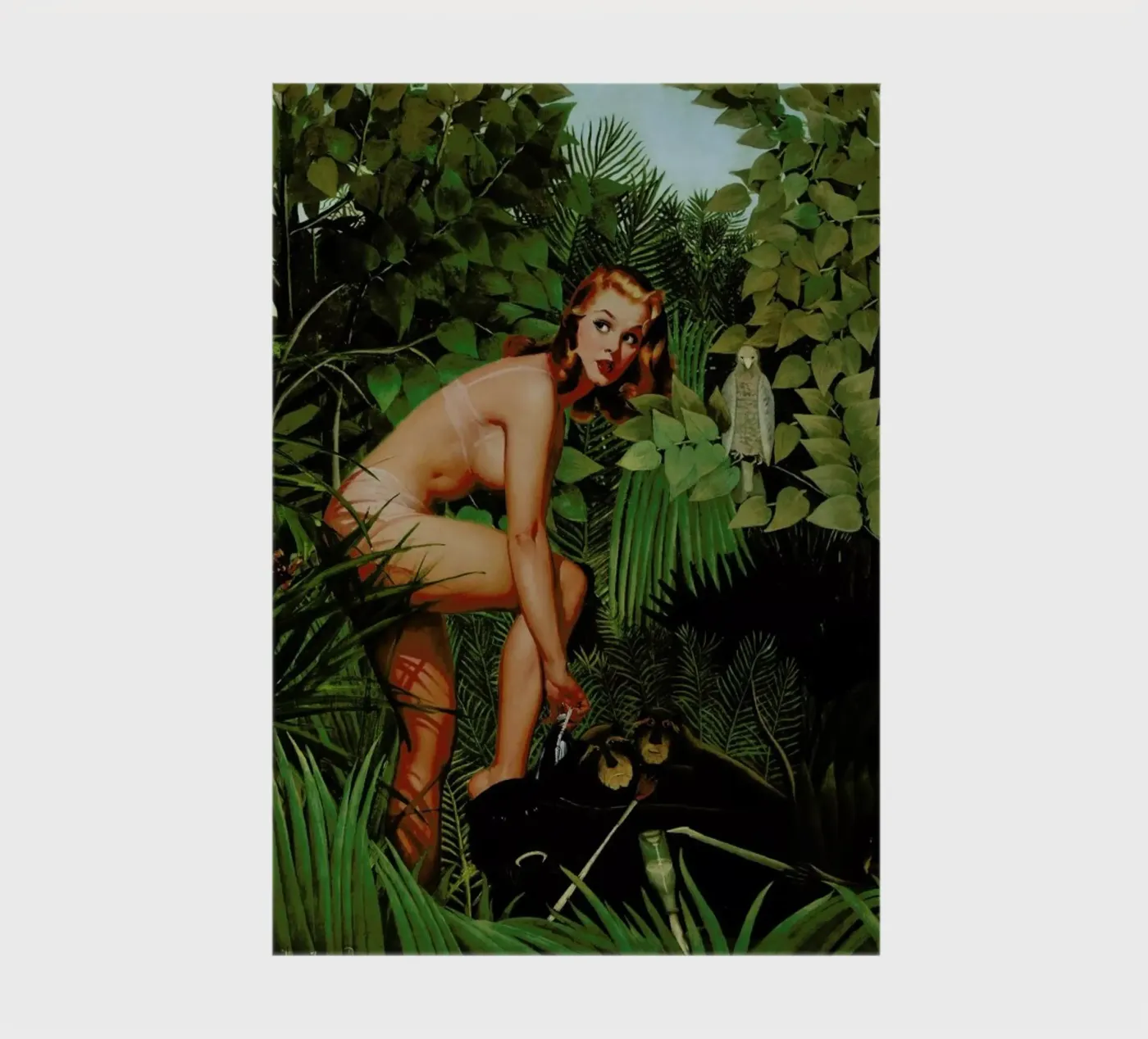 Amazon notebook by Jason Brueck
