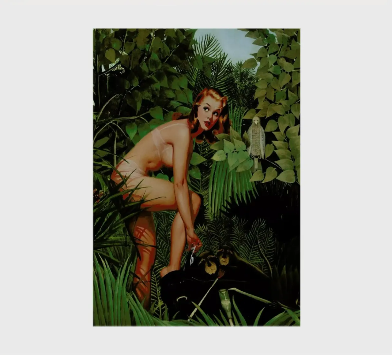 Amazon notebook by Jason Brueck