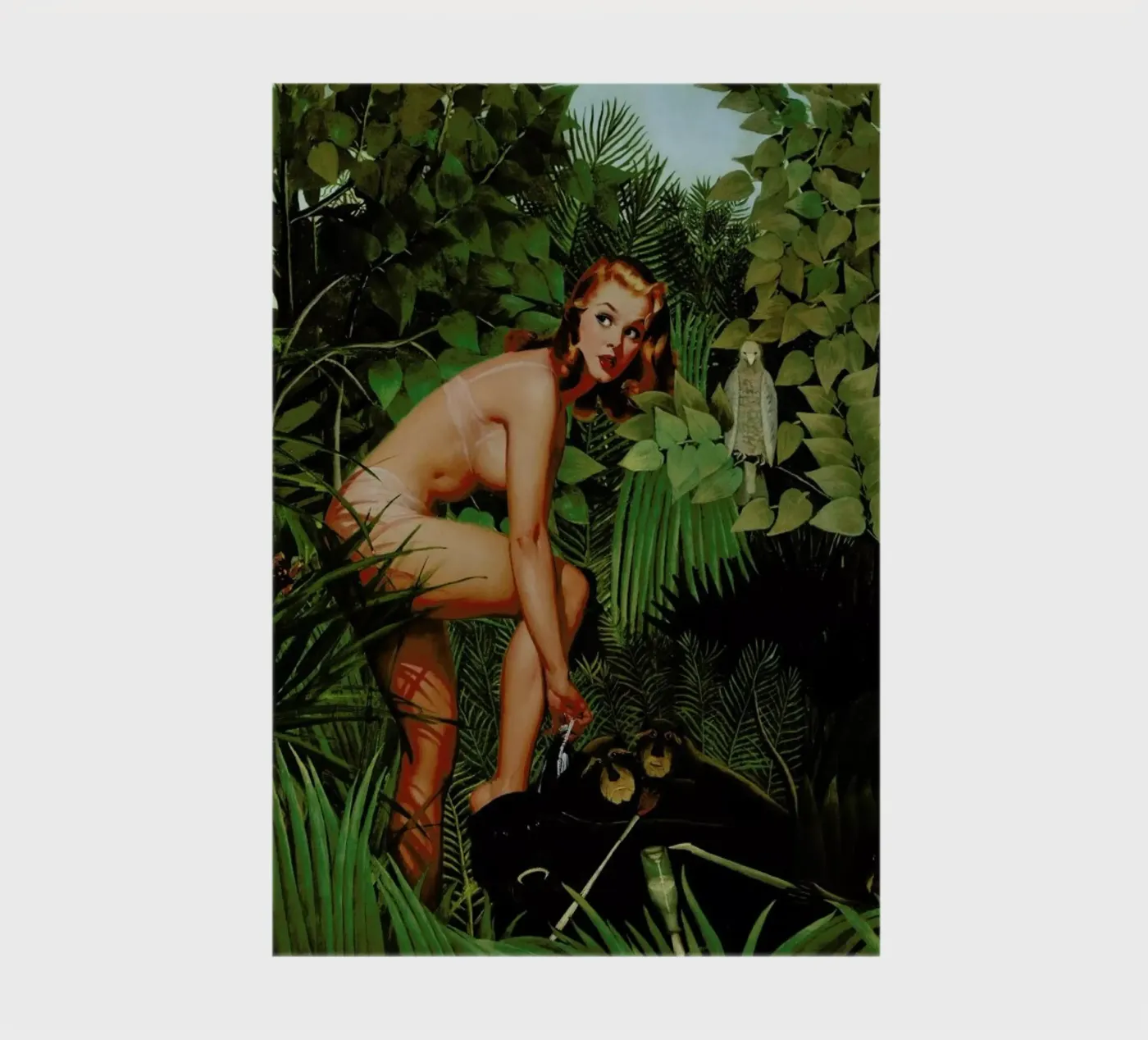 Amazon notebook by Jason Brueck
