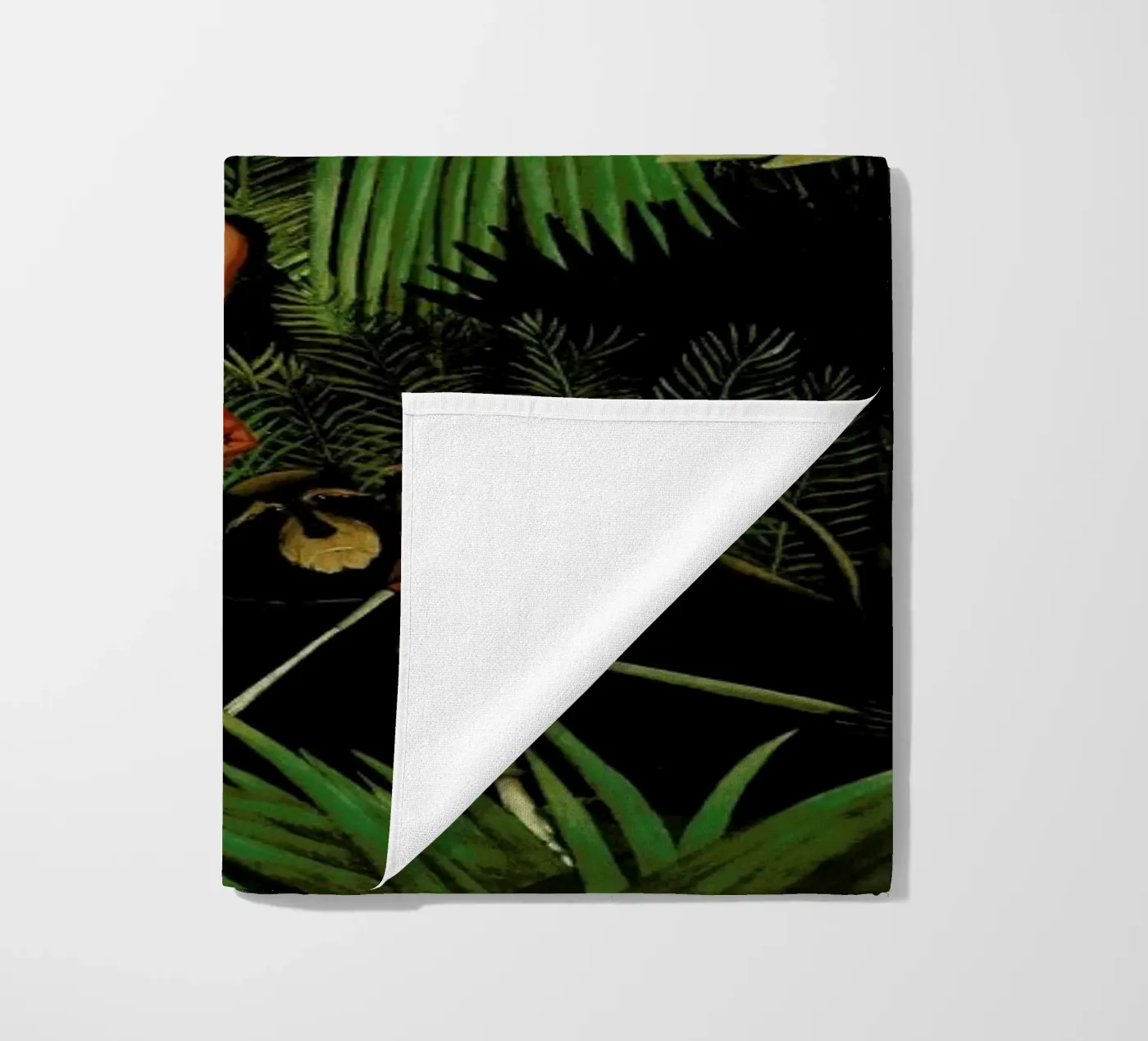 Amazon telo mare da Jason Brueck