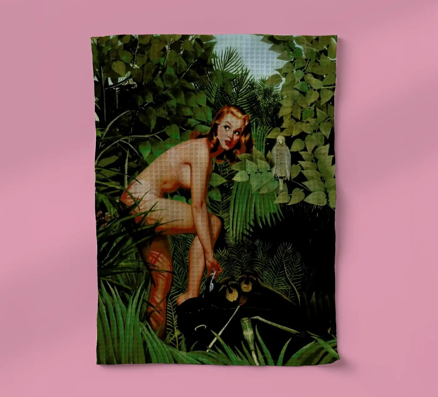 Amazon torchon de Jason Brueck