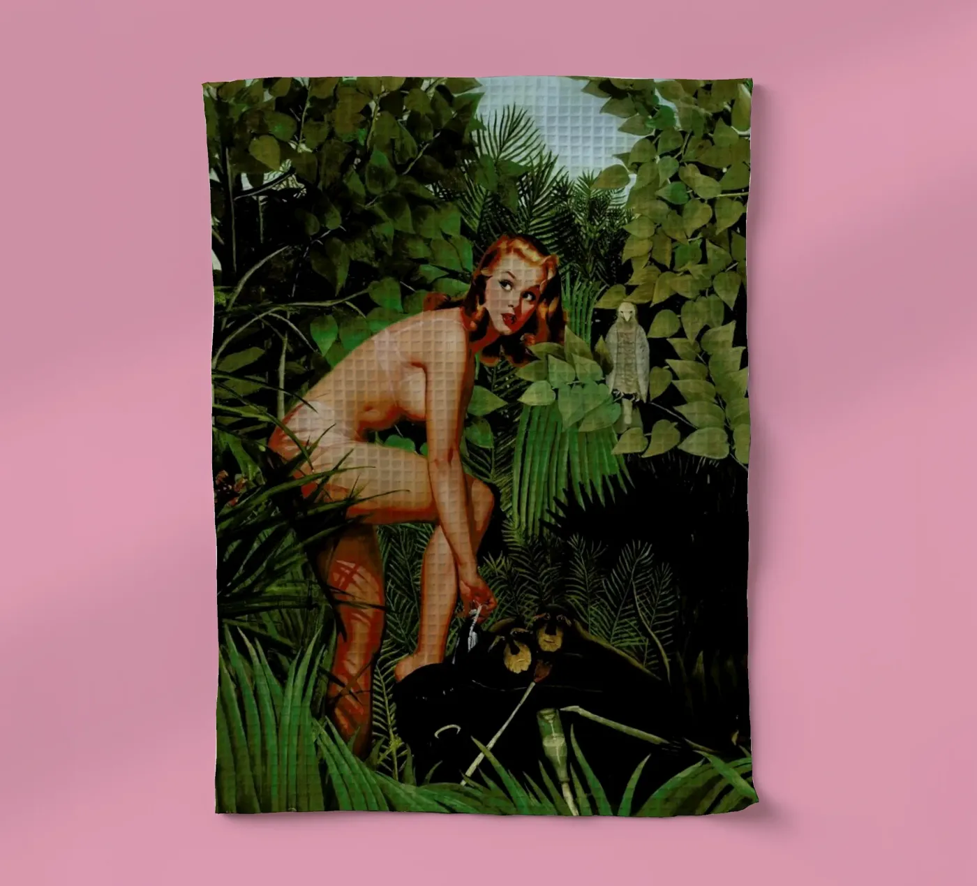 Amazon Geschirrtuch von Jason Brueck