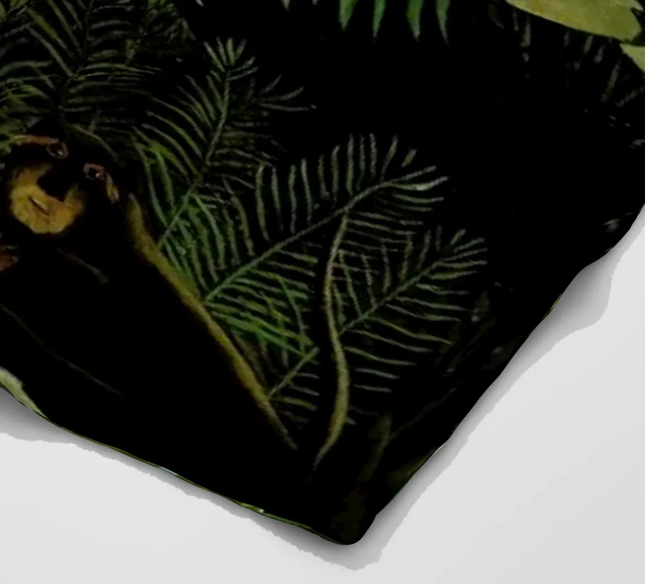 Amazon Fleecedecke von Jason Brueck