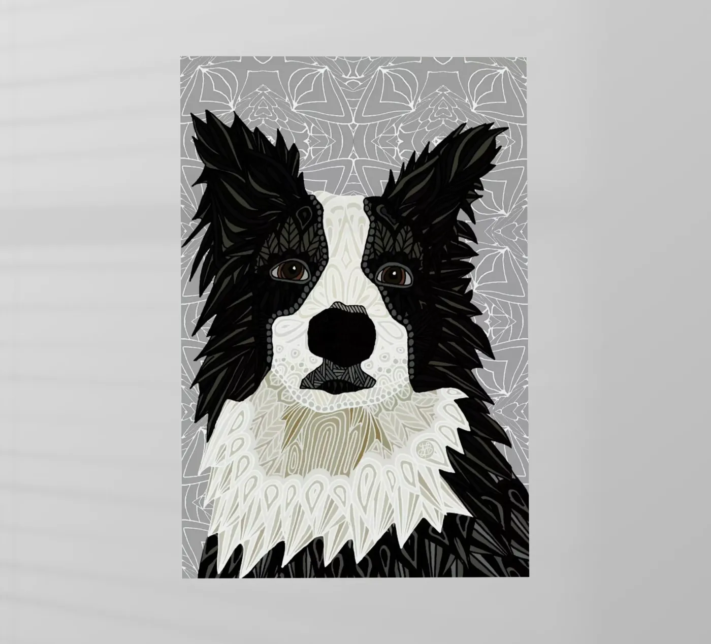 Border Collie pellicola backlit da Angelika Parker