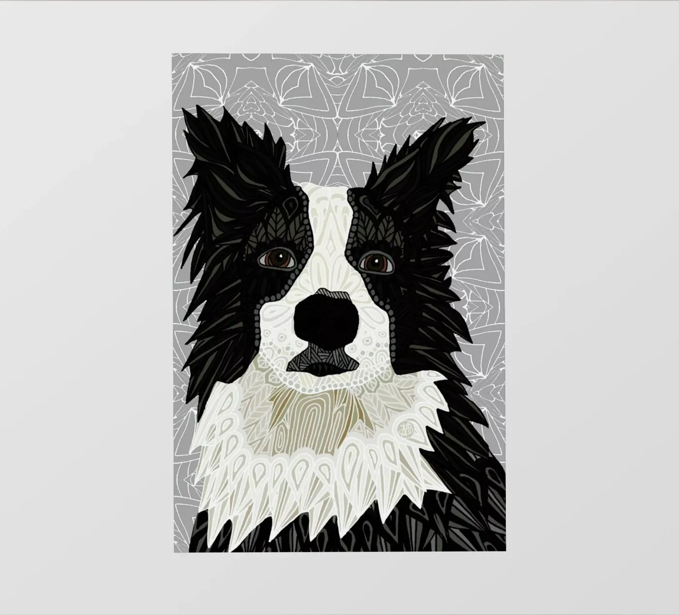 Border Collie pellicola backlit da Angelika Parker