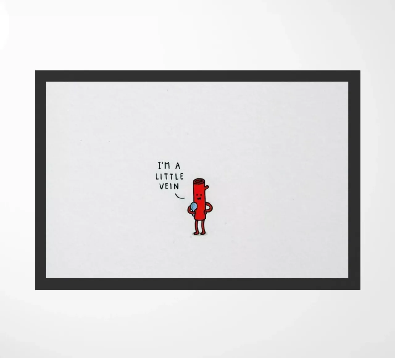 Vein zerbino da Jaco Haasbroek