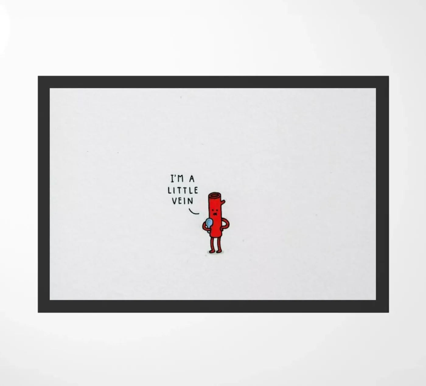 Vein zerbino da Jaco Haasbroek