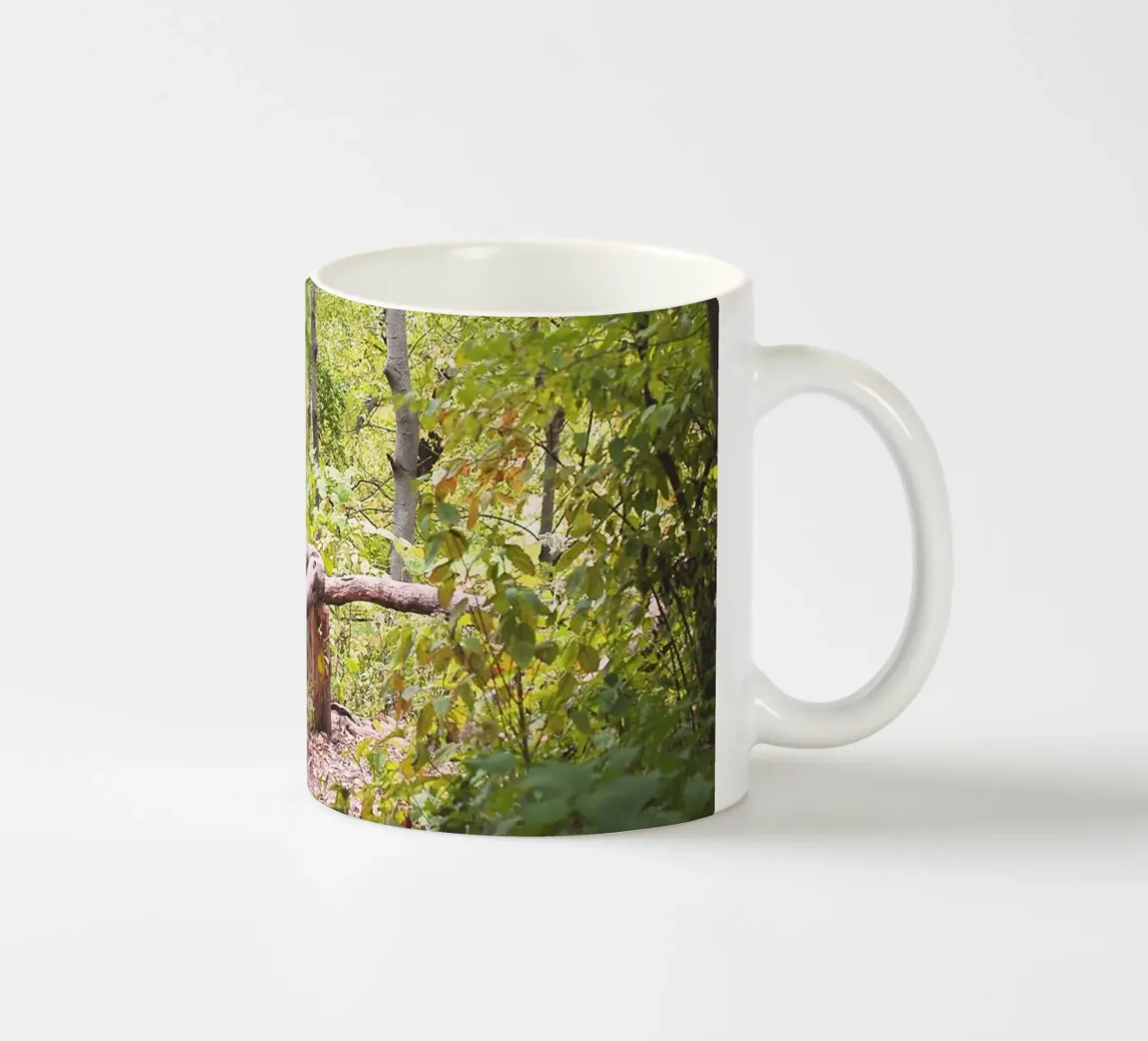 New York, USA I Una passeggiata a Central Park e in una foresta verde naturale tazza in ceramica da Julie Travel Photography