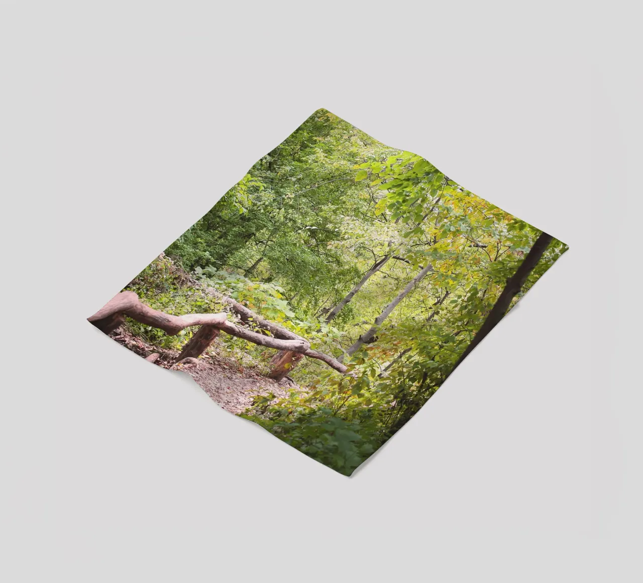 New York, USA I Una passeggiata a Central Park e in una foresta verde naturale coperta in pile da Julie Travel Photography