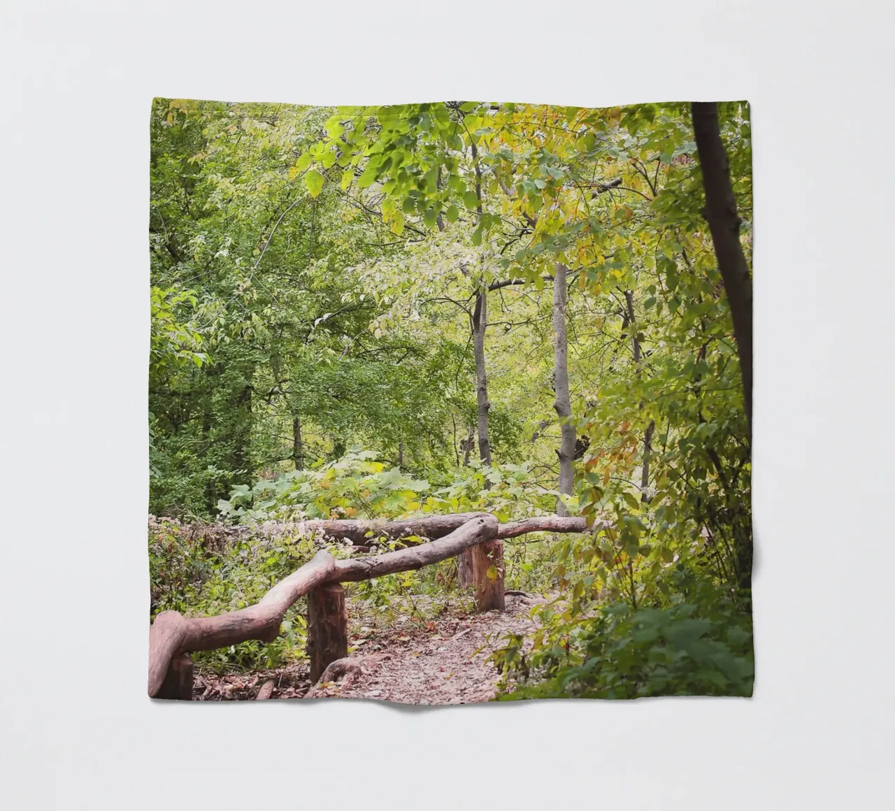 New York, USA I Una passeggiata a Central Park e in una foresta verde naturale coperta in pile da Julie Travel Photography